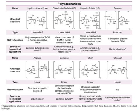 Nanofabrication Technologies to Control Cell and Tissue Function in ...