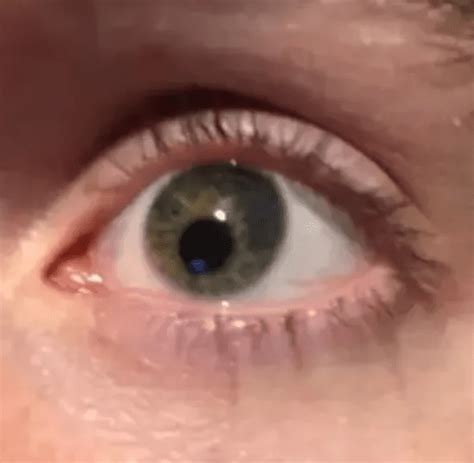 Image result for Houdini 18 Tutorials