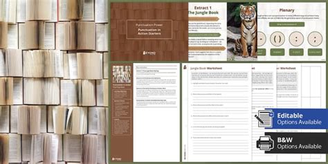 Punctuation in Action Lesson Pack | KS3 SPaG | Beyond