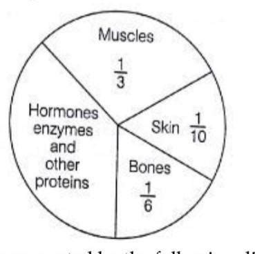 The following pie chart represents the distribution of proteins in ...