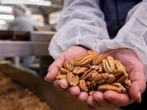 American Pecans™ | The Original Supernut™