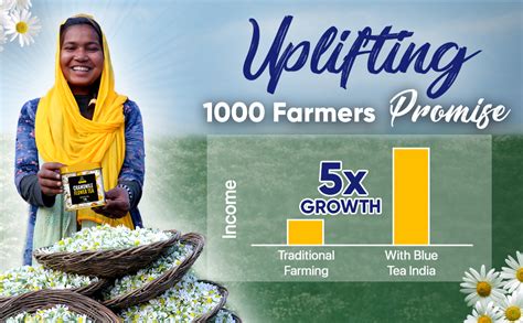 BLUE TEA - Hibiscus Tea - 30 Tea Bags - Plant Based | SKIN GLOW ...