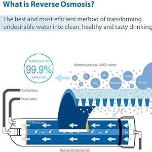 Wellon 300 GPD RO Membrane for Commercial RO Systems (Works Till 2000 ...
