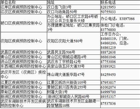 全国首个“电子证照卡包”在汉推出 8大证件1个APP_武汉_新闻中心_长江网_cjn.cn