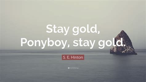 S. E. Hinton Quote: “Stay gold, Ponyboy, stay gold.”