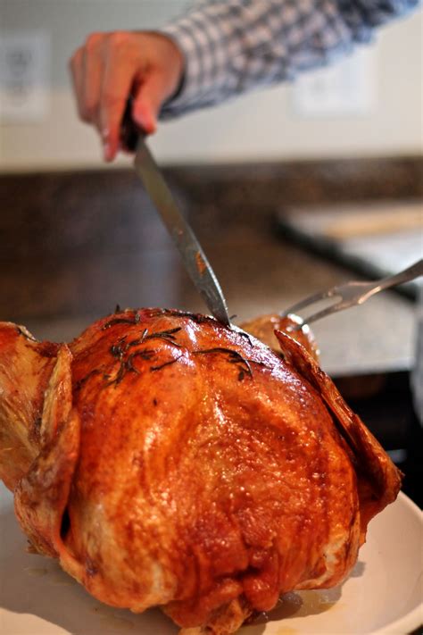 Step by Step Instructions for Cooking a Thanksgiving Turkey - thekittchen