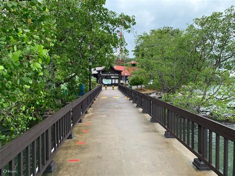Pulau Ubin Bike Rental - Klook India