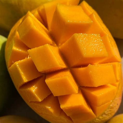 Alphonsa Mango Live Plants – veliyathgardens