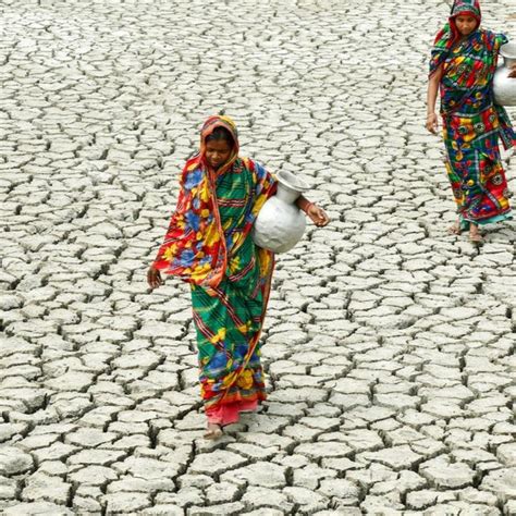 Image result for Environmental Problem Video