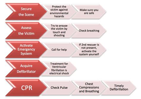 BLS Steps 的图像结果