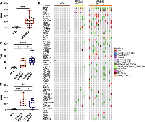 Mutational analysis of pulmonary large cell neuroendocrine carcinoma ...