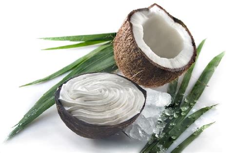 Coconut Shell Ice Cream Cup Manufacturers and Suppliers from Coimbatore