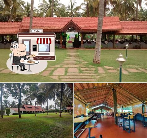 The Courtyard Tree, Mysuru- Premium Garden Restaurant Event Venue ...