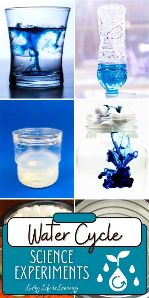 Image result for Water Cycle Science Experiment
