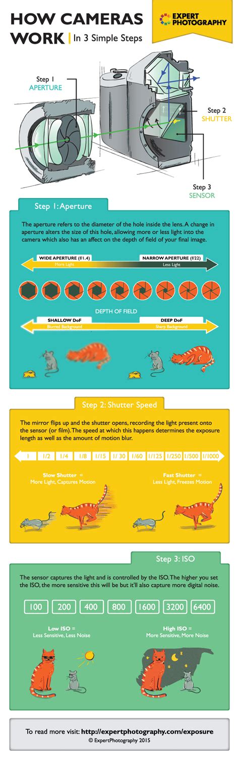 Image result for How Does Photography Work