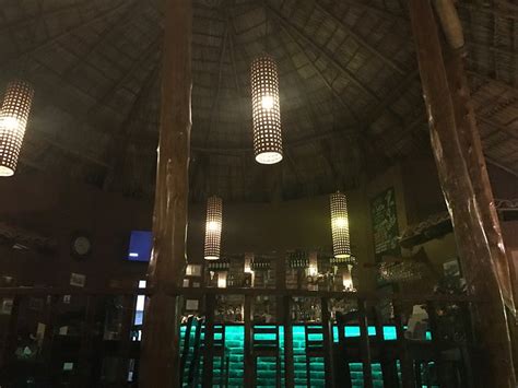 BLACK MONKEY (Nicaragua/San Juan del Sur) - Inn Reviews & Photos ...