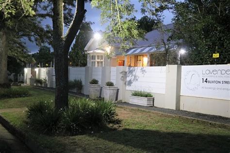 LAVENDER LANE (Queenstown) - Inn Reviews, Photos, Rate Comparison ...