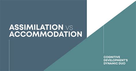 Assimilation vs Accommodation: Piaget’s Concepts Explained