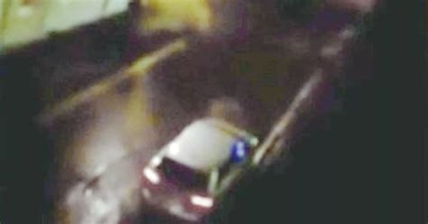 Alien Bellly Noises 的图像结果