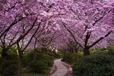 Image result for HTML Gradient Color