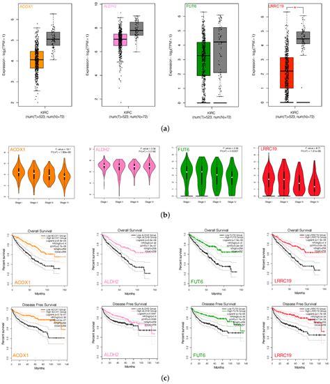 LRRC19—A Bridge between Selenium Adjuvant Therapy and Renal Clear Cell ...