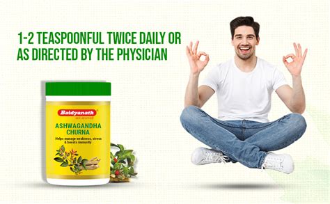 Baidyanath Ashwagandha Churna