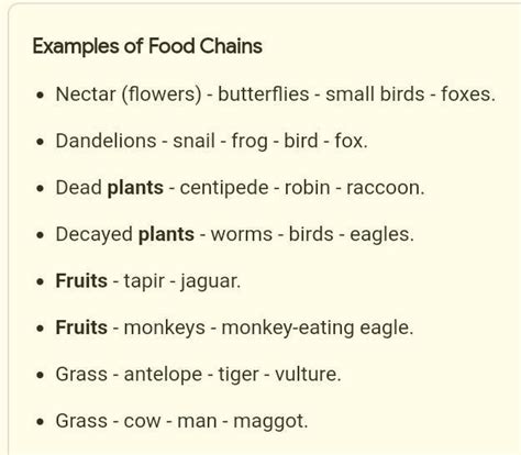 oDefine food chainfood chain and food web with examples - Brainly.in