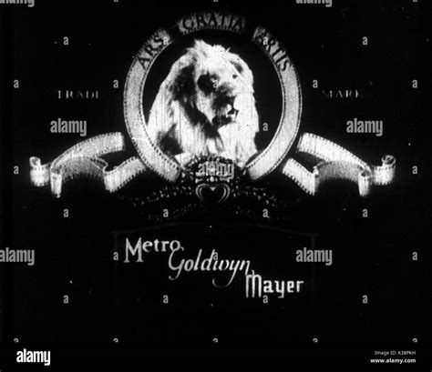 MGM Rewards | Loyalty Program | Earn Points Vector Art Vector Recipe Wallpaper Vector
