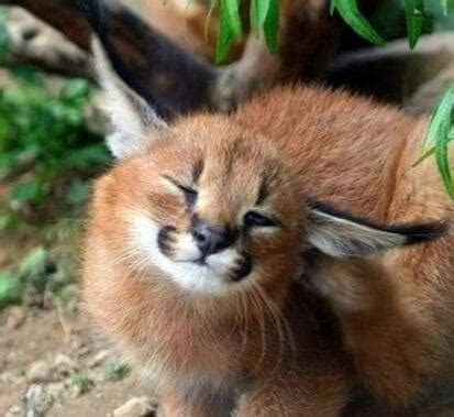 Image result for Floop Pg