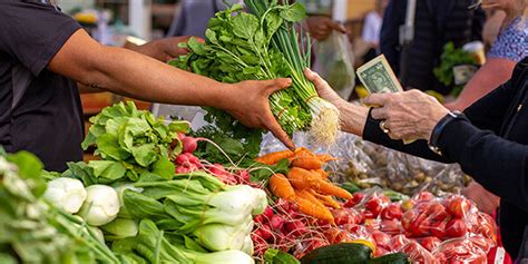 Local Food Sources 的图像结果