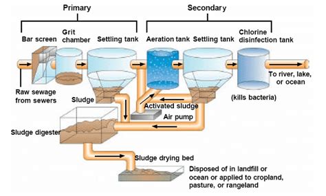 Wastewater story Class 7 Notes Science Chapter 13 Free PDF