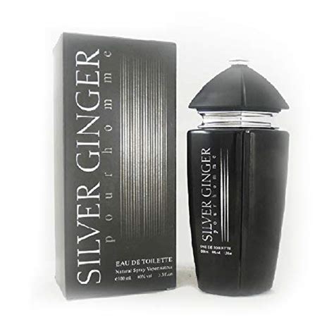 Buy BN Parfums Silver Ginger Perfume For Men, Eau De Toilette - 100 Ml ...