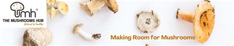 Amazon.in: THE MUSHROOMS HUB
