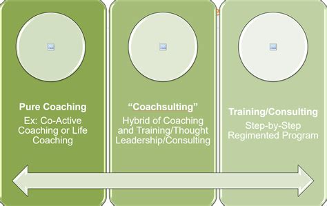 Coaching Process 的图像结果