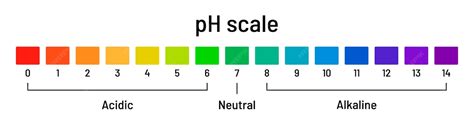 Ph scale chart diagram of acid and alkaline solutions on white ...