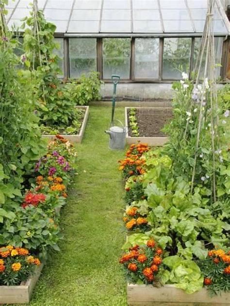 Vegetable Garden Ideas for Backyard: Grow Your Own Fresh Produce ...