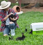 Image result for How to Raise Rabbits