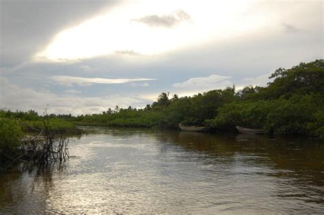 RANCHO DA BUNA POUSADA (Atins) - Guesthouse Reviews, Photos, Rate ...