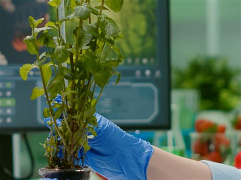 Home | Yenepoya Online