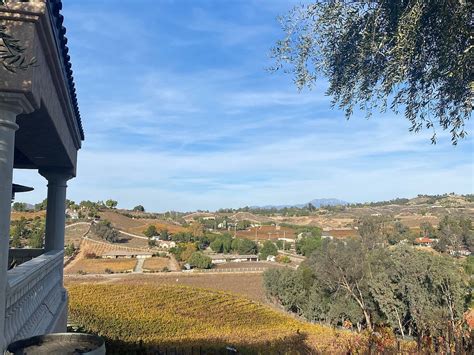 GRAPELINE WINE TOURS (2025) All You Need to Know BEFORE You Go (with ...