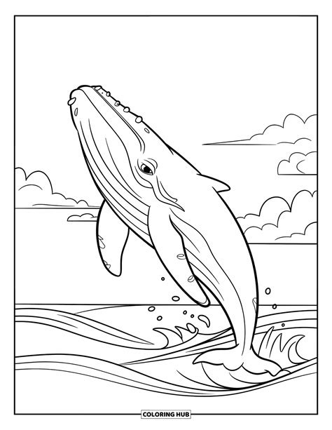 90+ Whale Coloring Pages for Kids & Adults (Free Printable PDFs)