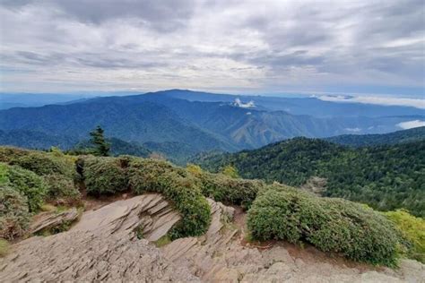 Mount LeConte hike ⛰ What is the best trail to get to Mt LeConte summit ...