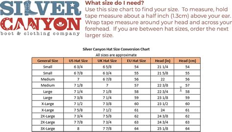 Buy Montana Crushable Wool Felt Western Style Cowboy Hat by Silver ...