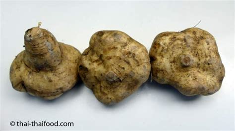 Image result for Yambohne