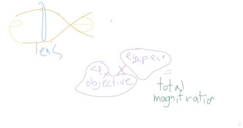 Image result for Microscope Magnification Power