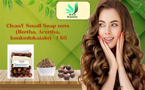 Buy BSD Organics Soap nuts (Reetha, Areetha, kunkudukaialu) - 1 kg ...