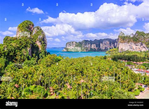 Image result for Knowledge Repository Examples