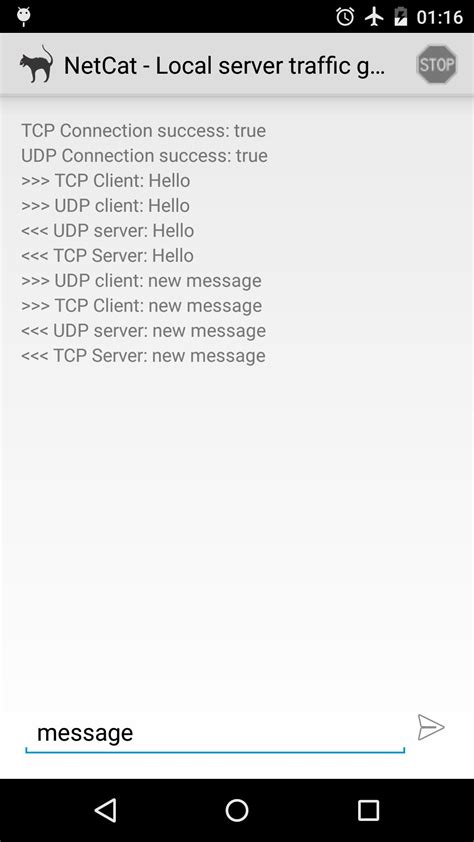 Netcat Download 的图像结果