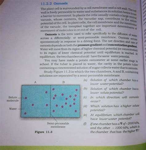 bio ncert class 11 fig:11.3 - Brainly.in