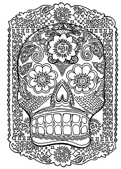 Skull - Coloring Pages for Adults
